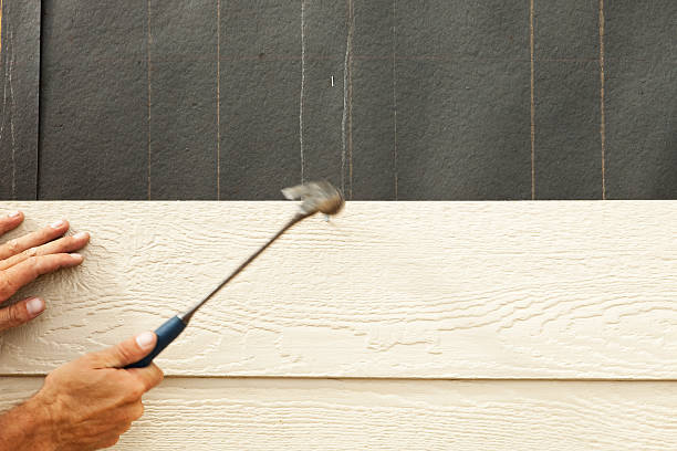 Best Engineered Wood Siding  in Alexandria, VA